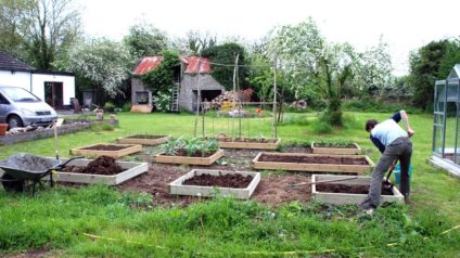 Jardiner avec du compost : Comment le compost aide les plantes et le sol ?