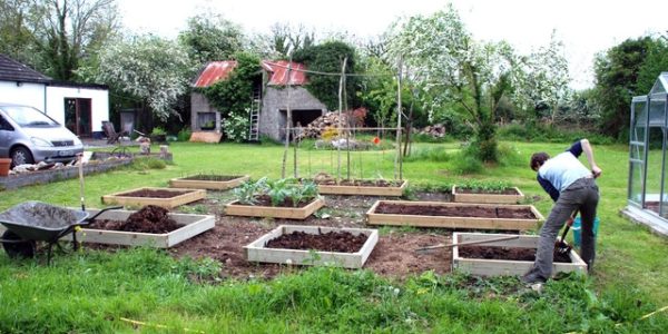 Jardiner avec du compost : Comment le compost aide les plantes et le sol ?