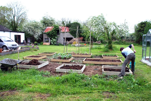 Jardiner avec du compost : Comment le compost aide les plantes et le sol ?